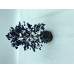 300 Chips Lapis Lazuli Agate Stone Gemstone Trees