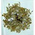 700 Chips Yellow Jasper Agate Stone Gemstone Banyan Trees