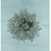 300 Chips Crystal + Moonstone Orgone Base Agate Stone Gemstone Trees