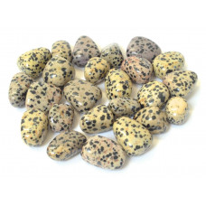 Dalmatian Jasper High Graded Tumbled Stone